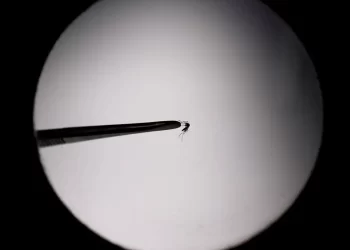 Brasil bate recorde de mortes por dengue em 2023