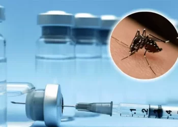 Primeiras doses da vacina do SUS contra dengue chegam ao Brasil