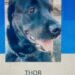 Thor, um cão da raça labrador, vai visitar pacientes internados no Hospital Metropolitano