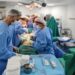 Bahia realizou 267 transplantes entre janeiro e setembro de 2023