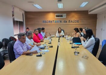 Bahia tem 13 municípios em epidemia de dengue