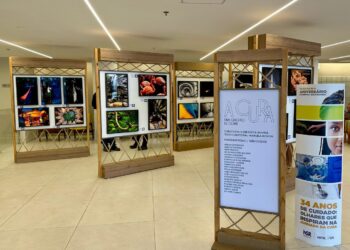 Hospital São Rafael recebe exposição “A Cura, uma questão de olhar” em seu aniversário de 34 anos