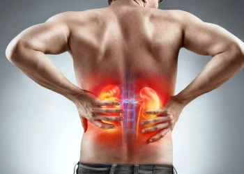 Dia Mundial do Rim: saiba como cuidar da saúde desse órgão