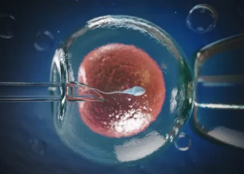 Ginecologista explica sobre o aumento na procura de óvulos e sêmen doados nos tratamentos de fertilização in vitro