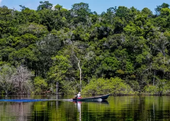 Hepatite Delta avança entre ribeirinhos no Amazonas