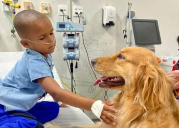 Visita de cadela terapeuta leva alegria e bem-estar a crianças no Hospital 2 de Julho