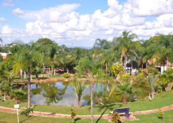 ViV Saúde Mental e Emocional completa um ano e chega à Região Centro-Oeste com aquisição da Crescer Humanizada