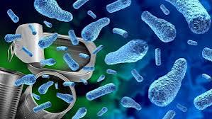 Bahia registra seis casos de botulismo, com duas mortes confirmadas