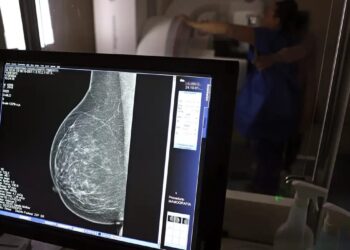 Outubro Rosa: mulheres têm exames gratuitos na rodoviária de Brasília