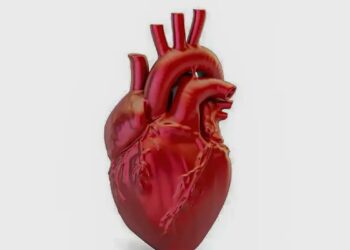 Doenças cardiovasculares matam 400 mil brasileiros por ano