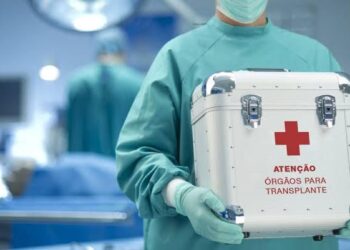 Não podemos perder a confiança no sistema de transplantes, diz Nísia