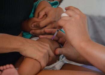 Número de casos notificados de coqueluche cresce em 2024