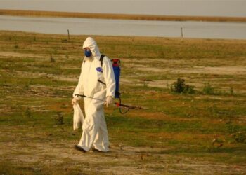 Ministério da Saúde intensifica vigilância e prevenção contra influenza aviária em humanos