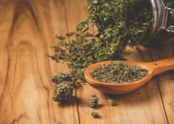 Novas diretrizes da cannabis medicinal indica mercado promissor que pode expandir no Brasil