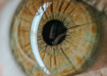 Opinião: E você, venderia sua íris?