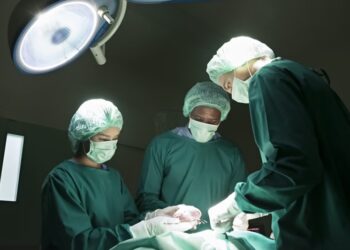 SUS passa a oferecer transplante de intestino delgado e multivisceral