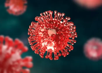 Novo coronavírus com potencial para causar uma pandemia é descoberto na China