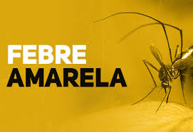 Febre amarela aumenta no Brasil e acende alerta de autoridades