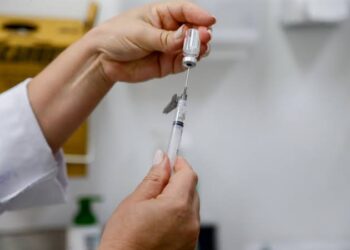 Anvisa aprova vacina do Butantan contra chikungunya para uso no Brasil