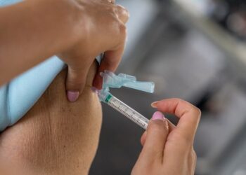 Ministério da Saúde pedirá incorporação da vacina contra Chikungunya no SUS