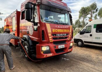 Barreiras sanitárias contra a gripe aviária são reduzidas no RS