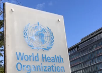 OMS alerta para surto de antraz na República Democrática do Congo