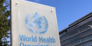 OMS alerta para surto de antraz na República Democrática do Congo