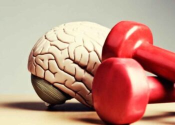 Como a atividade física protege e estimula o cérebro