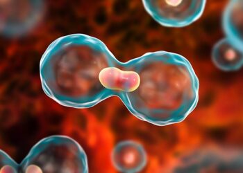 Mortes por câncer já superam óbitos por doenças cardíacas em 60 cidades da Bahia