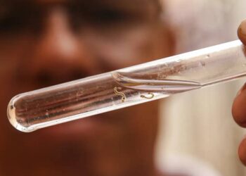 Bahia reduz em 88% os casos de dengue, mas especialista alerta que cuidados devem ser mantidos