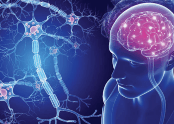 Sinais sutis da Esclerose Múltipla exigem atenção e podem ser confundidos com outras doenças