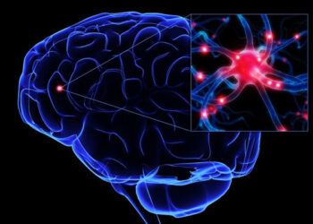 Como exames de imagem são decisivos para rastreamento precoce do Alzheimer