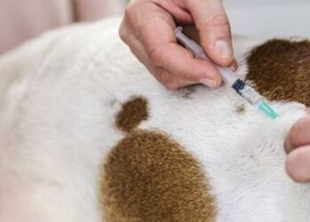 Ministério da Saúde anuncia a chegada de mais de 320 médicos especialistas e R$ 2,5 bilhões para novas unidades públicas de saúde