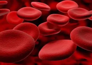 Anemia por deficiência de ferro: cuidado adequado é negligenciado no sistema de saúde público