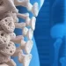 Osteoporose cresce em silêncio e desafia diagnóstico precoce