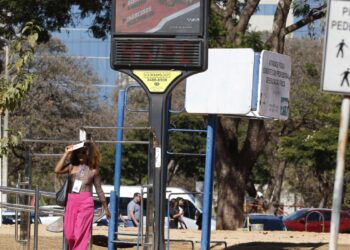 Efeitos das mudanças do clima agravam alergias, diz especialista