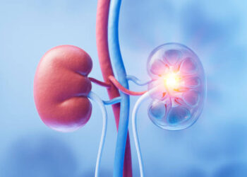 Um alerta para a saúde dos rins diabéticos neste Novembro Azul