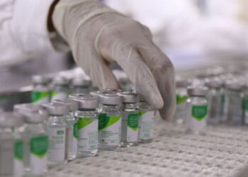 l (Imagem: Divulgação/Ministério da Saúde)