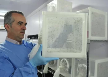 Brasileiro criador do “Aedes” que bloqueia dengue é eleito pela Nature