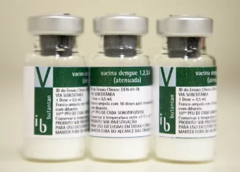 Ministério da Saúde define estratégia de imunização contra a dengue com nova vacina do Butantan