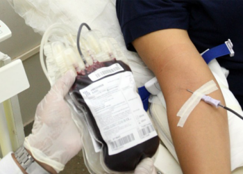 Pré-Carnaval acende alerta para estoques críticos de sangue tipos O- e O+
