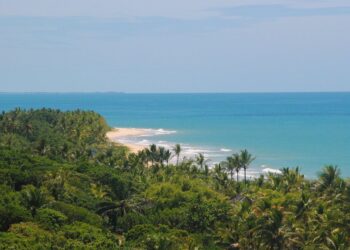 Vai à praia no Carnaval? Veja como evitar problemas de saúde durante a viagem