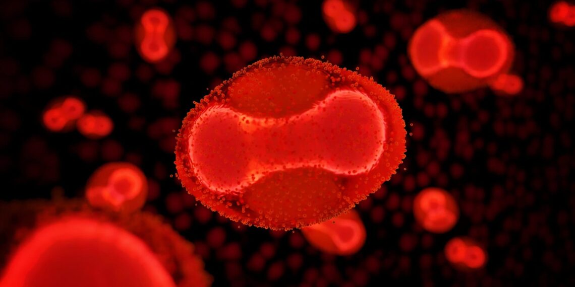 Os três vírus que podem desencadear novas crises em 2026