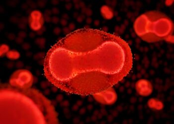 Os três vírus que podem desencadear novas crises em 2026