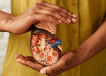 Cuidados com os rins: como identificar sinais de alerta e prevenir complicações renais