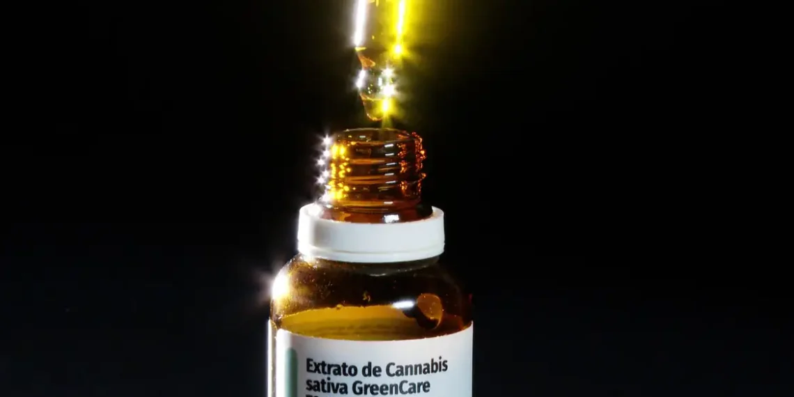 Autorizações para importação de cannabis aumentam 29% em 2026