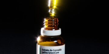 Autorizações para importação de cannabis aumentam 29% em 2026