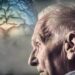 O Alzheimer começa a se formar até 20 anos antes do primeiro esquecimento