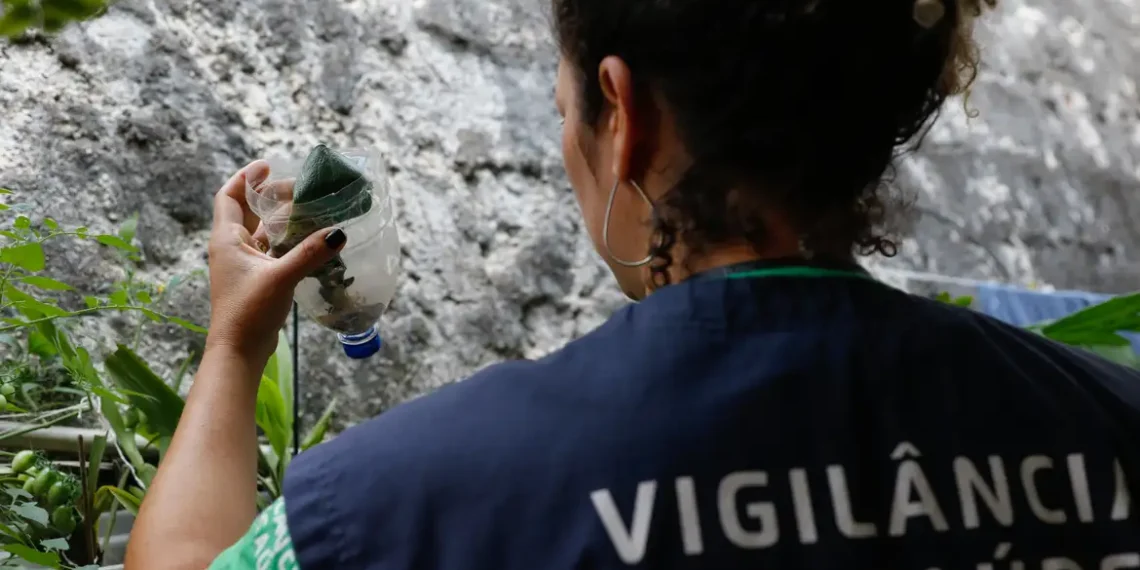 São Paulo tem mais de 58 mil casos de dengue desde o início do ano