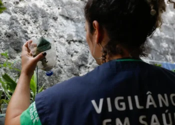 São Paulo tem mais de 58 mil casos de dengue desde o início do ano